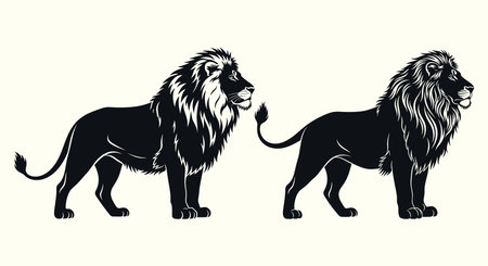 Lion and lioness on a white background. Vector illustration.のイラスト素材
