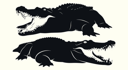 Crocodile silhouette set isolated on white background. Vector illustration.のイラスト素材