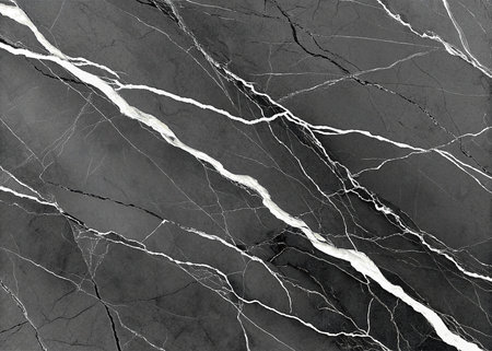 Experience the timeless beauty of dramatic dark gray marble, accented with striking white veins. This luxurious natural texture offers an elegant and sophisticated backdrop, perfect for high-end design projects.の写真素材