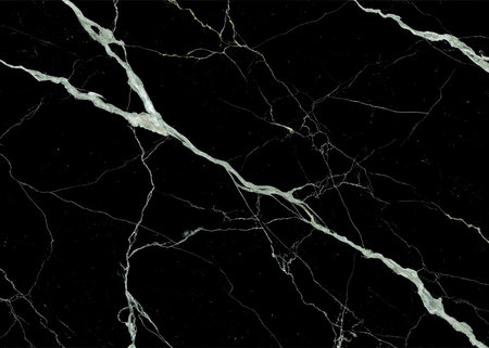 Luxurious black marble with bold white veining offers an elegant, sophisticated backdrop perfect for premium interior design, modern branding, and exclusive luxury projects.の写真素材