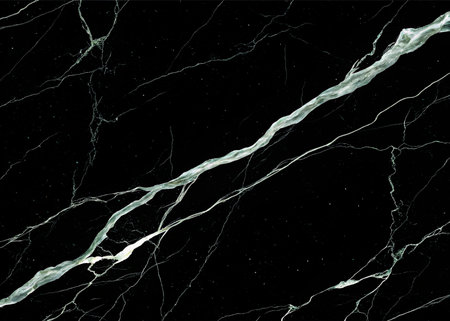 Elevate your designs with this stunning black marble texture, featuring dramatic white veins. Perfect for creating luxurious and sophisticated backdrops in any project.の写真素材