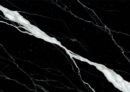 Captivate with this luxurious black marble, its bold white veins offering a sophisticated, modern backdrop. Perfect for high-end branding, interior design, or elegant presentations.の写真素材
