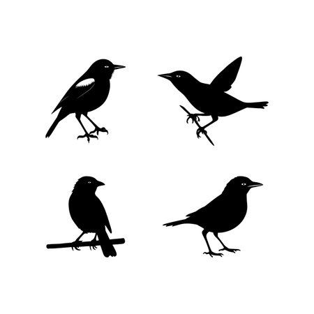 Set of black birds silhouettes isolated on white background. Vector illustration.のイラスト素材