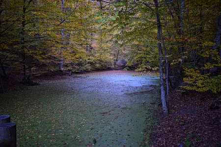 Bolu YedigÃ¶ller Beautiful Natural Landscape Reflected on the Frame
