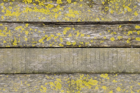 Wooden Fenceの写真素材