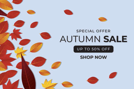 Autumn sale banner background with leaf and frame. Special offer up to 50%. Premium Vector