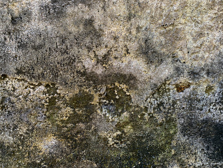 Grunge cement wall texture background. Abstract background and texture for design.の写真素材