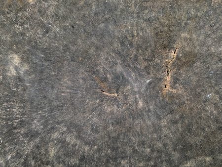 Old wood texture background. Floor surface with cracks. Old wood texture backgroundの写真素材