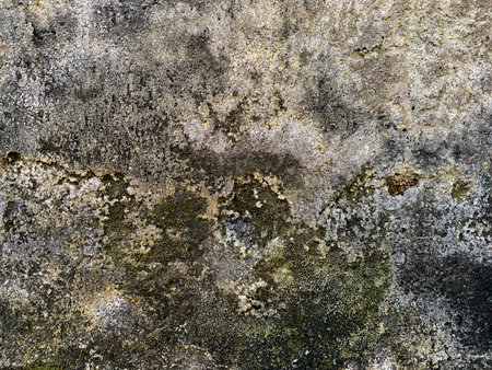 Old grunge wall texture. Abstract background for design with copy space.の写真素材