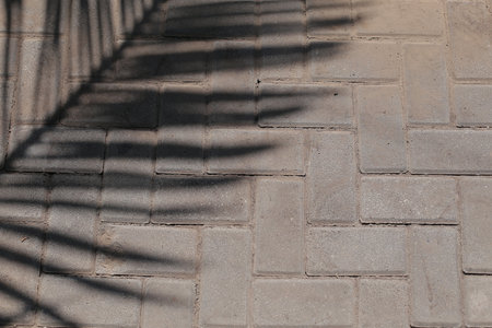 Shadow of palm leaf on the cobblestone pavement. Abstract background.の写真素材