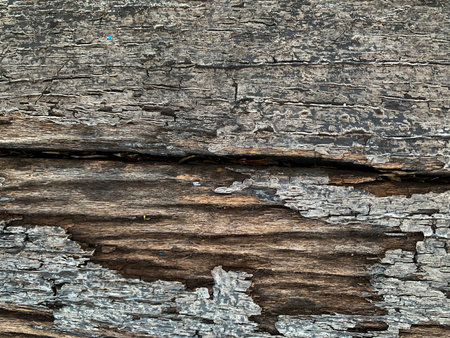 Old wood texture with natural patterns. Abstract background for design and ideas.の写真素材