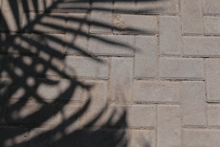 Shadow of palm leaf on the stone pavement. Abstract background for design.の写真素材