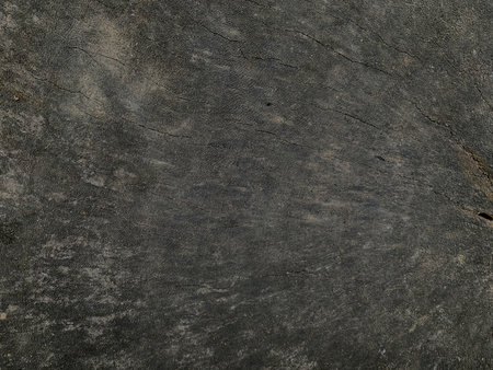 Old wood texture with natural pattern. Abstract background and texture for design.の写真素材