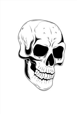 Skull head vector illustration hand drawingのイラスト素材