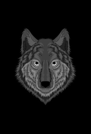 Wolf vector illustration
