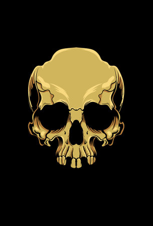 Skull destroyer vector illustrationのイラスト素材