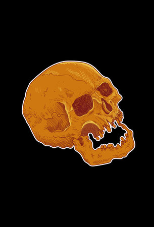 Skull artwork illustration hand drawingのイラスト素材