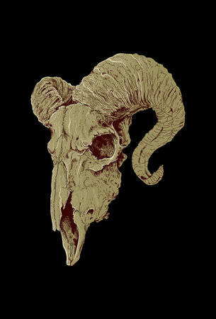 Skull goat detail artwork illustrationのイラスト素材
