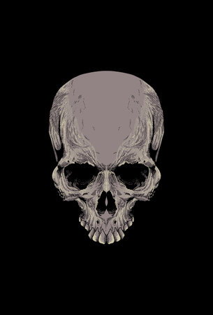 Skull artwork detail with illustrationのイラスト素材