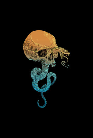 Skull head with snake illustrationのイラスト素材