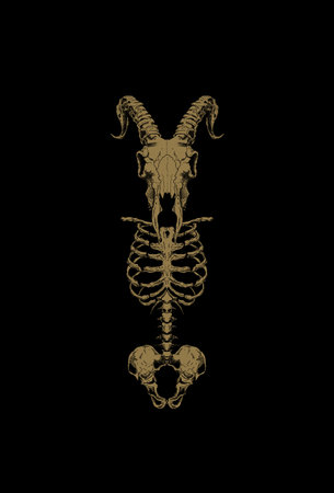 Skull body and head skull goat artwork illustration