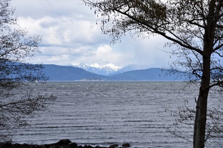 Jericho beachの写真素材