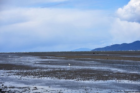 Jericho beachの写真素材