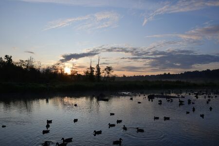 A view of Sunrise at Burnaby lake. BC Canadaの写真素材