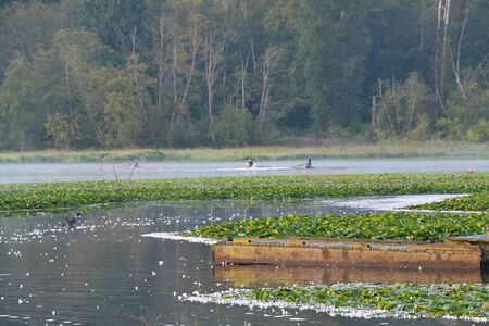 Boating in the misty morning . Burnaby Lake BC Canadaの写真素材