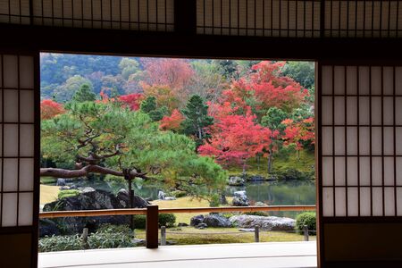 A Beautiful Japanese Garden with Autumn Colours Seen from the Back of a Japanese Style Guest Room.    Arashiyama Kyoto Japanの写真素材