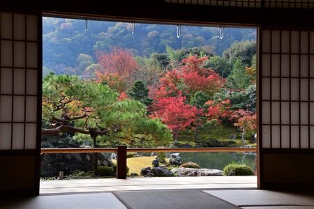 A Beautiful Japanese Garden with Autumn Colours Seen from the Back of a Japanese Style Guest Room.    Arashiyama Kyoto Japanの写真素材