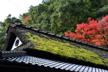 A mossy Japanese-style roof with beautiful autumn leaves in the background.    Sagano Kyoto Japanの写真素材
