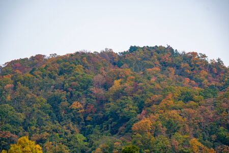 The Mountains Starting to Show Autumn Colors.   Kyotoの写真素材