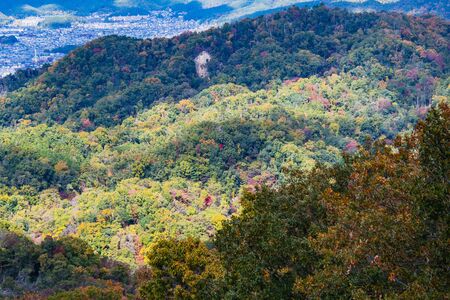 The Mountains Starting to Show Autumn Colors.   Kyotoの写真素材