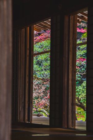 Colorful Autumn Scenery Beyond the Door-to-Door Contrasting Greatly with the Dark Interior.   ...