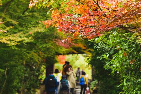 The temple gate to Kodaiji temple framed by autumn leaves.  Kyoto