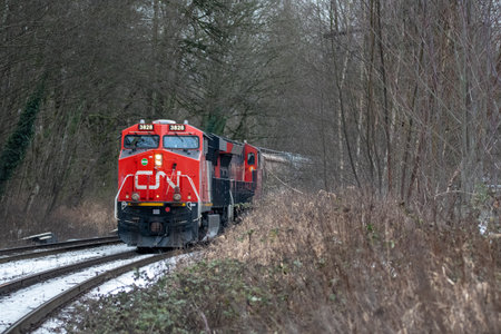 A Canadian national freight train passing through Burnaby.    February 18th 2019   Burnaby BC Canada