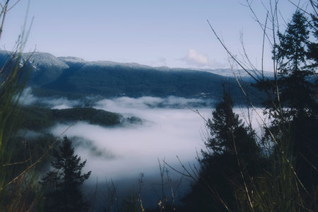 The misty inlet and the snow-covered mountains.  BC Canadaの写真素材