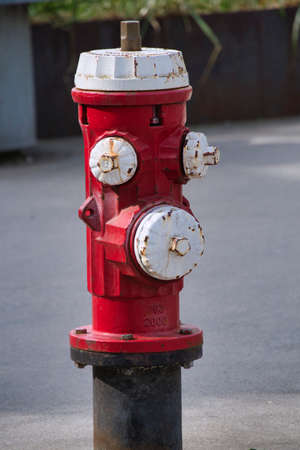 Red and white fire hydrant beside the street.  Vancouver BC Canadaãããの写真素材
