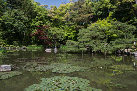 Japanese garden with pond and lotus flower in Tokyo, Japan.の写真素材