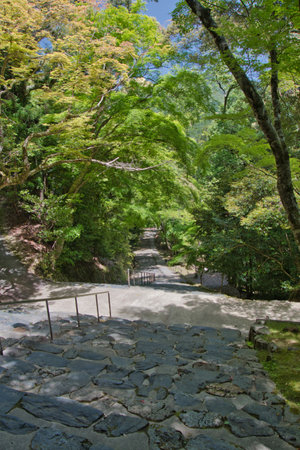 The stairway of Jingo-Ji temple.   Kyoto Japanの写真素材