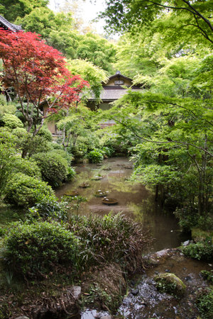 The garden and the pond inside Jakko-In temple.  Kyoto Japanの写真素材