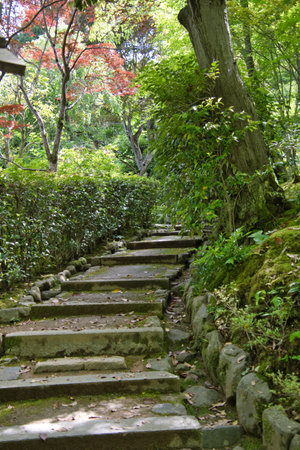 The stairways of Jojakko-ji temple.  Kyoto Japanの写真素材