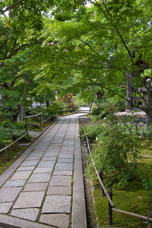 Kiyomizu-dera Temple in Kyoto, Japan.の写真素材
