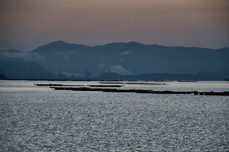 The oyster beds in the sea.  Miyajima Japanの写真素材