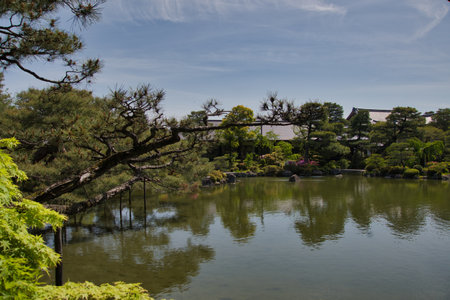 The Japanese garden and the pond.  Kyoto Japanの写真素材