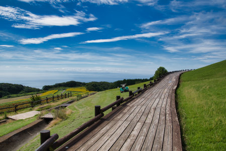 A hill with a panoramic view and the tail to the sky. Hanazashiki Awaji Island, Hyogoの写真素材