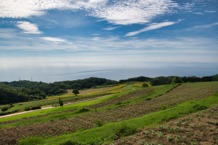 A hill with a panoramic view. Hanazashiki Awaji Island, Hyogoの写真素材