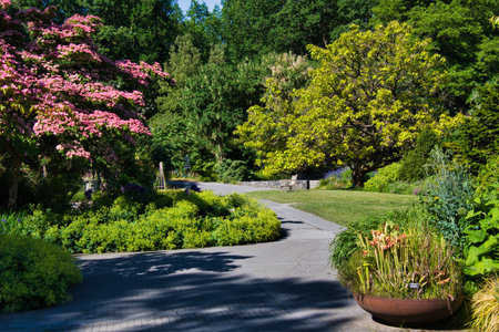 A view of the pathway in the gardens. VanDusen Botanical Gardens, Vancouverの写真素材
