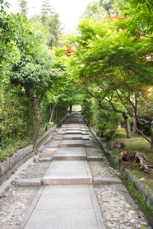 A view of the approach surrounded by the trees. Kyoto Japan